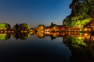 Fototapeta na wymiar Night view of the fall color with reflection in Daikaku Ji