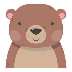 cute bear animal