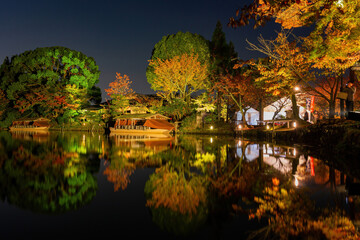 Fototapeta premium Night view of the fall color with reflection in Daikaku Ji