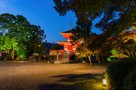 Night View Of The Shingyo-Hoto Tower In Daikaku Ji