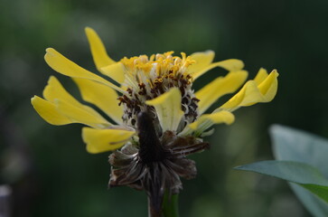 fresh in the morning