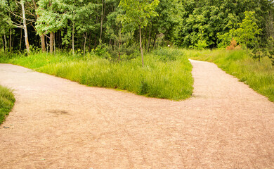 Two ways, choose the road, close-up of the forest fork