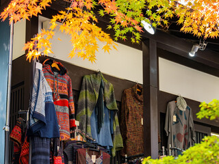 Sunny autumn landsacpe at Arashiyama