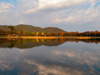 Naklejka premium Sunny view of the fall color of Osawa Pond