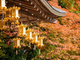 Close up shot of many gold lantern hanging at Mount Hiei