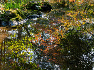 Daytime view of the fall color around Takano River