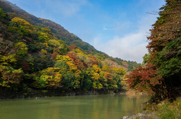 Sunny view of the fall color around Katsura River at Arashiyama