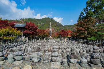 Obraz premium Sunny autumn landscape at Adashino Nenbutsu Ji
