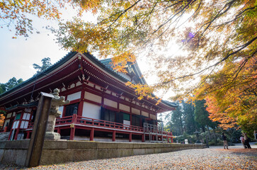 Fototapeta premium Sunny autumn landsacpe at Mount Hiei