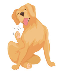 cute golden retriever dog