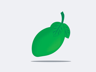 Manggo vector design