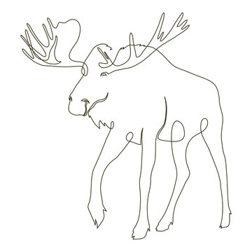 Wild Moose Line Drawn