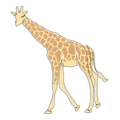 wild giraffe color drawn