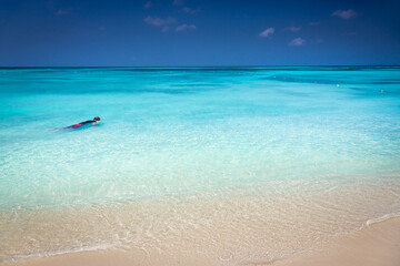 Aruba idyllic caribbean beach at sunny day, Dutch Antilles, Caribbean Sea - obrazy, fototapety, plakaty