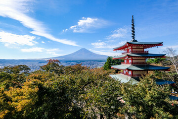 Fototapeta premium 山梨県富士吉田市新倉山からの五重塔と富士山