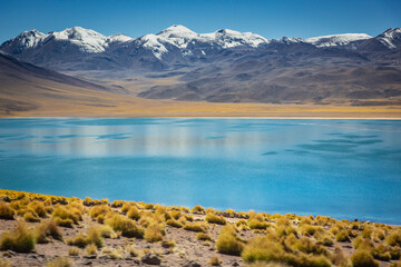 Laguna Miscanti, salt lake in Atacama desert, volcanic landscape, Chile