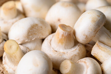 Fresh white champignon mushroom texture background