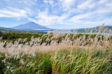 Fototapeta na wymiar 山梨県パノラマ台からの山中湖と富士山