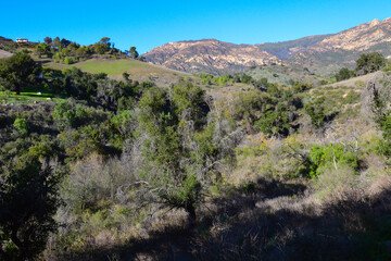 Fototapeta na wymiar San Roque Canyon, Santa Barbara