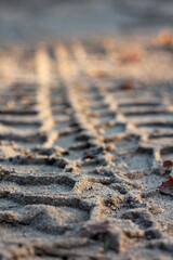 tire tracks in the sand