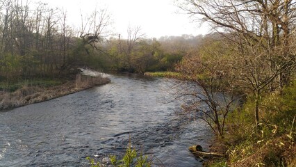 river in the woods
