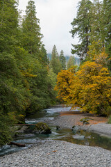 Beautiful Fall Scene In Washington State 