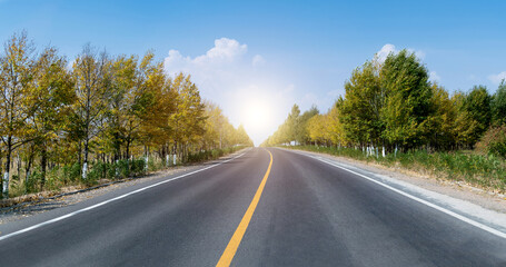 Curved asphalt road surrounded with trees on sunny day