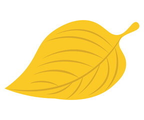 illustration of an leaf