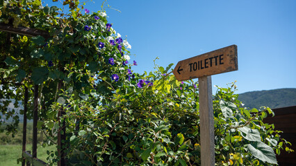 A sign leading the way to a toilet in Croatia at a vineyard with flowers 