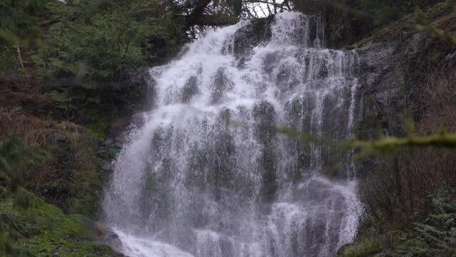 waterfall in a lush green rainforest 