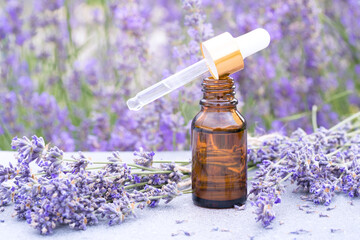 Obraz na płótnie Canvas Dropper bottle with lavender cosmetic oil or hydrolate against lavender flowers field as background. Herbal cosmetics and modern apothecary concept. Lavender beauty products