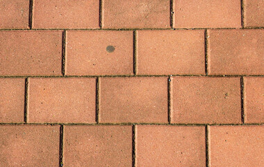 Orange pavement. Texture. View from above. 