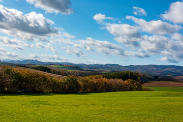 限りなく広い空