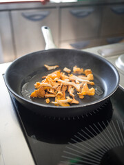 Chanterelles cooking in the pan