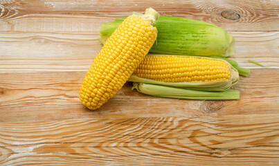 Sweet Corn Ears on Wooden Desk