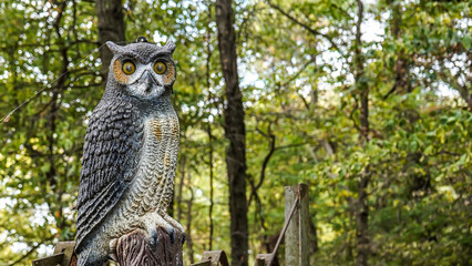 Selective focus artificial owl deters birds and keeps watch over the forest
