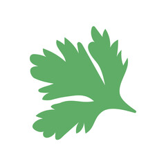 A green leaf of parsley on a white background