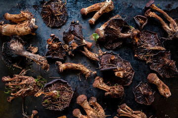 dried mushrooms on the dark background