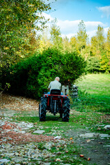 Obraz premium Homme conduisant un mini tracteur dans le jardin