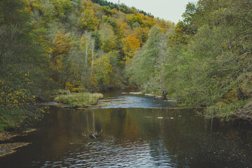 View on the river Ourthe in the Belgian national park Two Ourthes in the Ardennes of Wallonia, Belgium during autumn