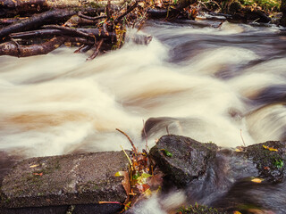 Small creek with blurred water surface. Nature scene with small river. Calm and relaxing mood.