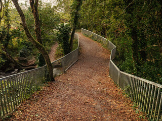 Small meatal bridge with odd shape and covered with brown fallen leaf in a forest park.