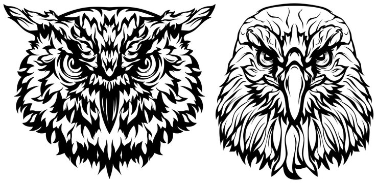 Hand drawn eagle and owl head emblem. Mascot bird png. Logo illustration.
