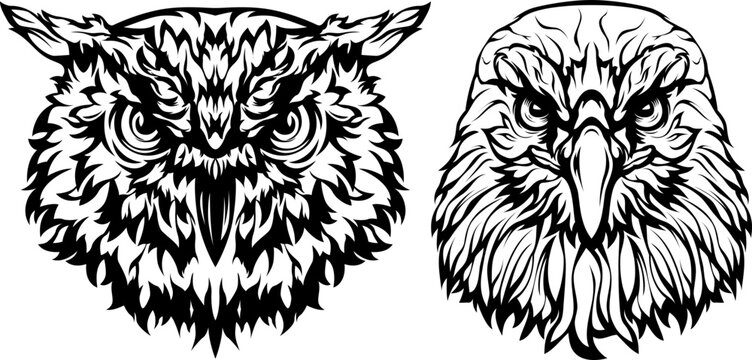 Hand drawn eagle and owl head emblem. Mascot bird. Logo illustration.