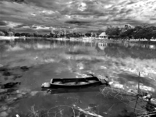 It's nature in the shadows of the sky.