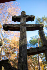 Święta Góra Grabarka, drewniane krzyże, Podlasie - obrazy, fototapety, plakaty