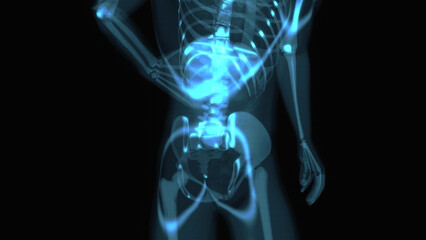 Fototapeta na wymiar Abstract 3D anatomy of the digestive system