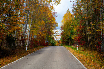 Jesienny krajobraz wsi na Podlasiu, 