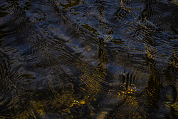 abstract background colored surface of water
