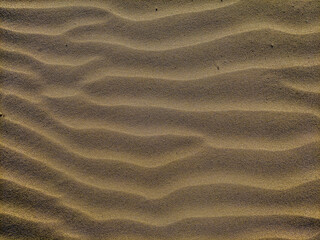 sand texture background close up